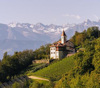 tvleifers-panorama2025-monsorno-07142